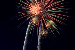 July 4th 2009 - Fireworks