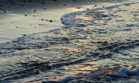 Sunrise on Horseneck Beach