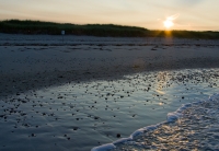 Sunrise on Horseneck Beach