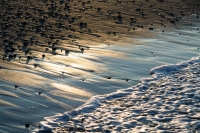 Sunrise on Horseneck Beach