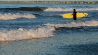 Surfing at Sunrise