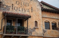 At Tokyo DisneySea