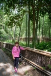 Fran at Arashiyama Bamboo Forest in Kyoto