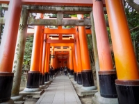 At Fushimi-Inari Shrine in Kyoto