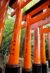 At Fushimi-Inari Shrine in Kyoto
