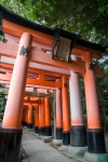 At Fushimi-Inari Shrine in Kyoto