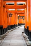 At Fushimi-Inari Shrine in Kyoto
