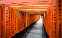 At Fushimi-Inari Shrine in Kyoto