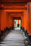 At Fushimi-Inari Shrine in Kyoto