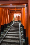 At Fushimi-Inari Shrine in Kyoto