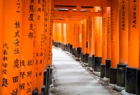 At Fushimi-Inari Shrine in Kyoto