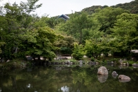Maruyama Park in Kyoto