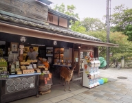 In Nara
