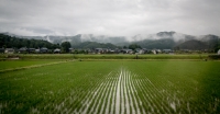 On train between Kyoto and Kanazawa