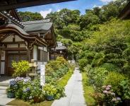 In Kamakura