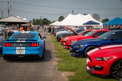 Jun 2019: Ford Nationals Car Show