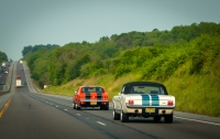 Mustangs in Pennsylvania