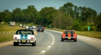 Mustangs
