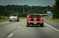 Mustangs