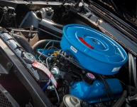 At the Ford Nationals car show