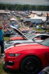 At the Ford Nationals car show