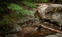 At the Basin in Franconia Notch