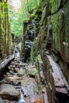At The Flume in Franconia Notch