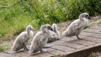 In Cambridge UK