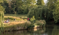 Along the Cam in Cambridge