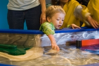 IMG_8831.CR2