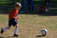 IMG_3512.CR2