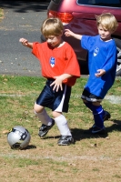 IMG_3530.CR2