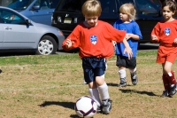 IMG_3544.CR2