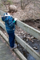 In the Fanwood Nature Center