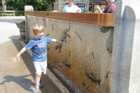 Playing in the water