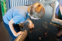 At the Tidal Pool tank