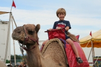 Riding a camel