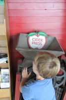Using the cider press