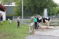 Kyle and Grandpa checking out the cow wash