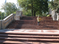 At the Bronx Zoo