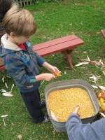 Kyle shelling some corn