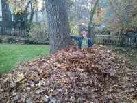Kyle: Nov & Dec 2011