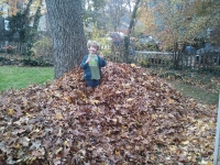 Helping rake leaves