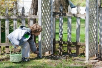 Egg Hunt