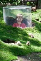 Prairie Dog Kyle