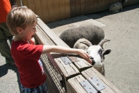 At the Zoo