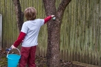 Easter Egg Hunt at our House