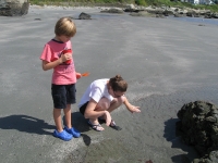 On the Beach in Newport