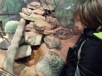 At the Philly Zoo