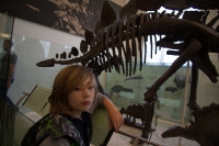 At the Museum of Natural History